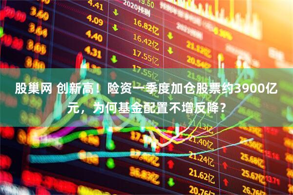 股巢网 创新高！险资一季度加仓股票约3900亿元，为何基金配置不增反降？